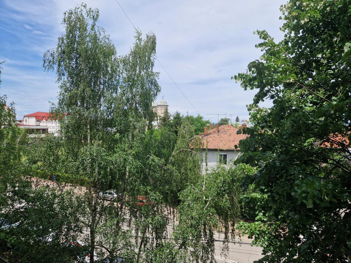 Cozy Appartment In The Center Targoviste Exterior photo